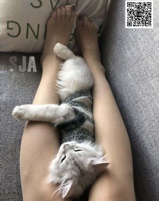 妈妈的朋友在线播放视频_BD国语免费全集观看