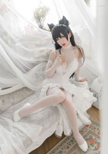 无颜之月免费视频_BD迅雷电影在线