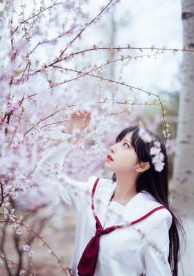 《完美的妻子》电视剧_BD完整在线观看